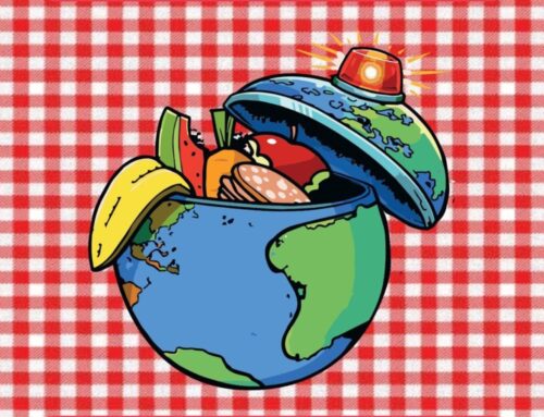 Science Tour – Les Petits Débrouillards