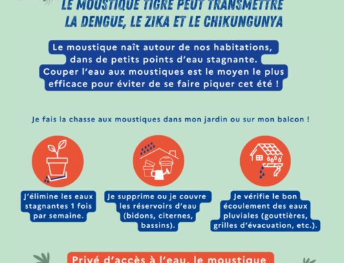 Mission Zéro Moustique